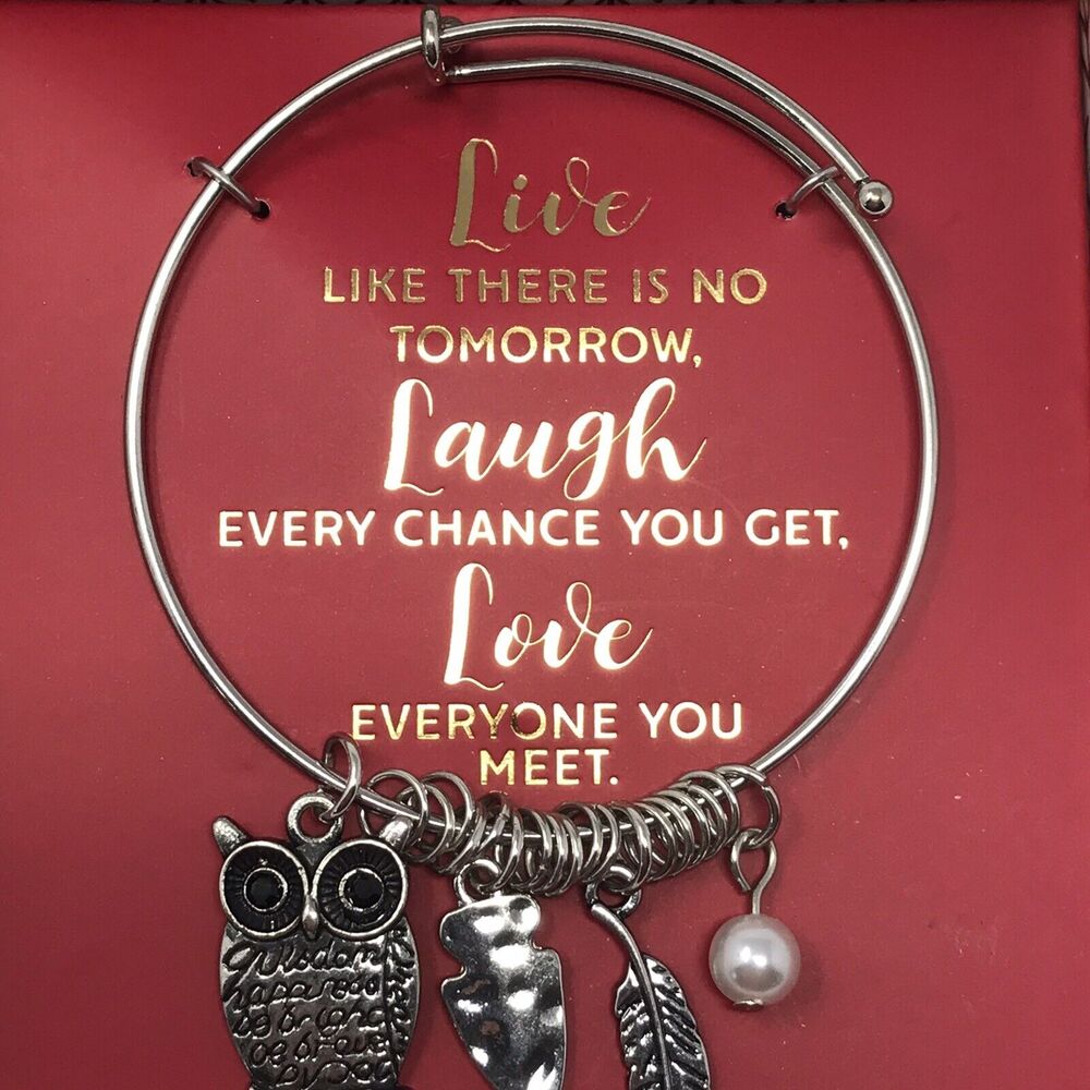 Charm Bangle Bracelet Silver-tone Owl, Arrow Head, and Feather - Picture 3 of 3